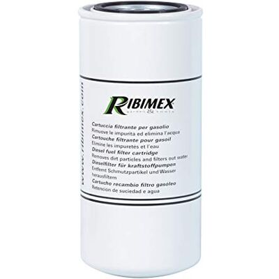 RIBIMEX - PRKG150/F - Metal - Biały - Filtr paliwa RIBIMEX - PRKG150/F - Metal - Biały - Filtr paliwa