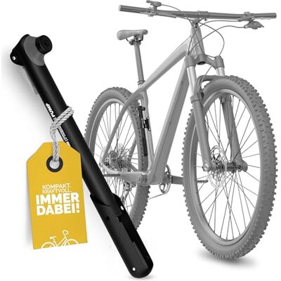 44304 DANSI Unisex – mini pompka rowerowa dla dorosłych, z wymienną wkładką zaworu i uchwytem, uchwyt T, czarna, pompka powietrza, rozmiar uniwersalny 44304 DANSI Unisex – mini pompka rowerowa dla dorosłych, z wymienną wkładką zaworu i uchwytem, uchwyt T, czarna, pompka powietrza, rozmiar uniwersalny