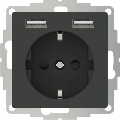 2USB inCharge PRO gniazdo USB z wbudowaną ładowarką USB (maks. 5 V/2,4 A/12 W) i technologia szybkiego ładowania ChargeMAX, 2 gniazda USB do ładowania, antracyt 2USB inCharge PRO gniazdo USB z wbudowaną ładowarką USB (maks. 5 V/2,4 A/12 W) i technologia szybkiego ładowania ChargeMAX, 2 gniazda USB do ładowania, antracyt