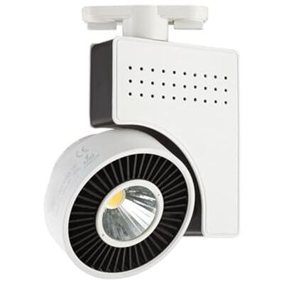 Blendend Dwuprzewodowy reflektor LED o mocy 33 W, idealny do oświetlenia kierunkowego w sklepach, galeriach lub pomieszczeniach domowych. Zapewnia intensywne, skupione światło. Blendend Dwuprzewodowy reflektor LED o mocy 33 W, idealny do oświetlenia kierunkowego w sklepach, galeriach lub pomieszczeniach domowych. Zapewnia intensywne, skupione światło.