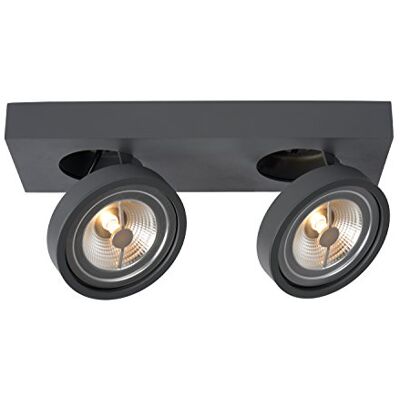 LUCIDE NENAD AR11 reflektor sufitowy LED Dim. G53 (AR111) 2 x 10 W 2700 K szary LUCIDE NENAD AR11 reflektor sufitowy LED Dim. G53 (AR111) 2 x 10 W 2700 K szary