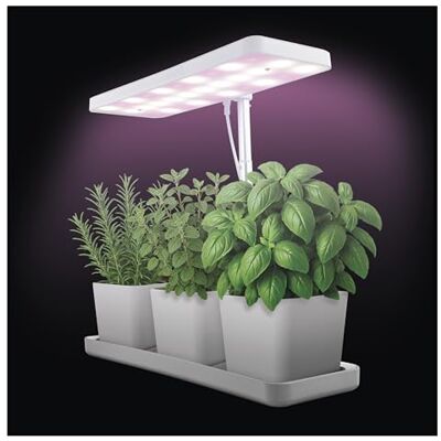 EMOS Lampa LED do roślin ziołowych i roślin pokojowych, z 3 doniczkami i timerem, regulacja wysokości, jasność 300 lm, kabel USB A 1,7 m, bez zasilania, biała EMOS Lampa LED do roślin ziołowych i roślin pokojowych, z 3 doniczkami i timerem, regulacja wysokości, jasność 300 lm, kabel USB A 1,7 m, bez zasilania, biała