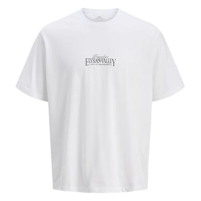 12275399-4732359 JACK & JONES Koszulka męska Jorparallel Tee SS Crew Neck Tg, Bright White, XL 12275399-4732359 JACK & JONES Koszulka męska Jorparallel Tee SS Crew Neck Tg, Bright White, XL
