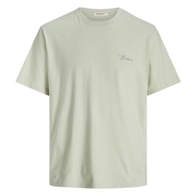 12282137-4816105 JACK & JONES Koszulka męska Joralmeria Back Tee SS Crew Neck Pls, Celadon Tint, 4XL 12282137-4816105 JACK & JONES Koszulka męska Joralmeria Back Tee SS Crew Neck Pls, Celadon Tint, 4XL