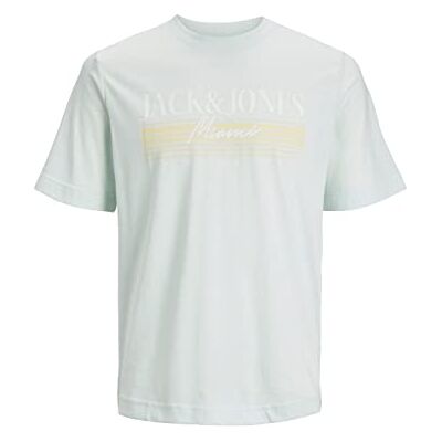 12234267 Jack & Jones JORPALMA Branding Tee SS Crew Neck, jasnoniebieski, M 12234267 Jack & Jones JORPALMA Branding Tee SS Crew Neck, jasnoniebieski, M