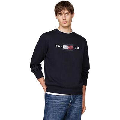 MW0MW35541DW5XXXL Tommy Hilfiger Męska bluza HILFIGER FLAGA EMBRO MW0MW35541, bluza, niebieska, XXXL, Niebieski (pustynne niebo), 3XL duże rozmiary MW0MW35541DW5XXXL Tommy Hilfiger Męska bluza HILFIGER FLAGA EMBRO MW0MW35541, bluza, niebieska, XXXL, Niebieski (pustynne niebo), 3XL duże rozmiary
