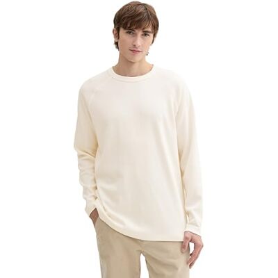 1043920 TOM TAILOR Denim T-shirt męski, 12906 Wool White, M 1043920 TOM TAILOR Denim T-shirt męski, 12906 Wool White, M