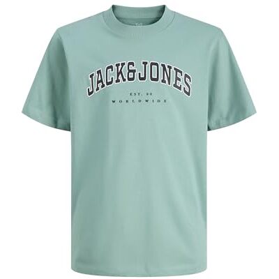 12258871-4976097 JACK & JONES Jjecaleb Varsity Tee SS O-Neck Noos Pls Plus Size, Mineral Blue, 5XL 12258871-4976097 JACK & JONES Jjecaleb Varsity Tee SS O-Neck Noos Pls Plus Size, Mineral Blue, 5XL