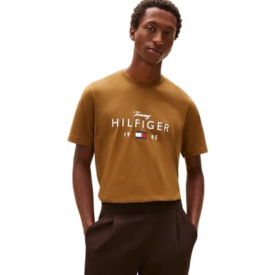 MW0MW41455 Tommy Hilfiger Brand Love Big Hilfiger Tee S/S, brązowy (Highland Khaki), S męski, Brązowy (Cachi Delle Highland), S MW0MW41455 Tommy Hilfiger Brand Love Big Hilfiger Tee S/S, brązowy (Highland Khaki), S męski, Brązowy (Cachi Delle Highland), S