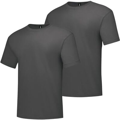 AMZ2 Hanes T-shirt męski, antracyt wrzosowy, S AMZ2 Hanes T-shirt męski, antracyt wrzosowy, S
