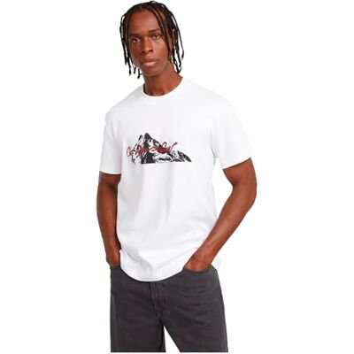 D25158 G-Star RAW Summit rozmiar Regular Tee, Biały (White -c812-110), XS D25158 G-Star RAW Summit rozmiar Regular Tee, Biały (White -c812-110), XS