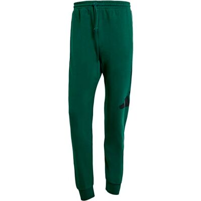JE8971 adidas Mężczyźni ESSENTIALS BIG LOGO FRENCH TERRY PANT, collegiate green/black, L JE8971 adidas Mężczyźni ESSENTIALS BIG LOGO FRENCH TERRY PANT, collegiate green/black, L