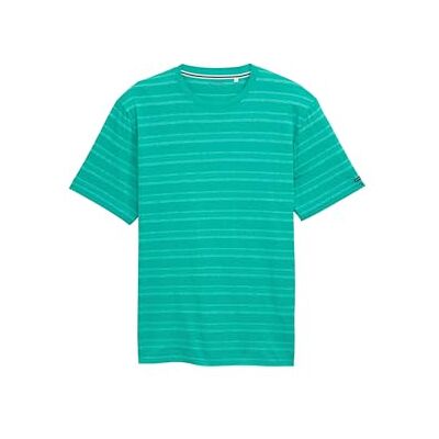 1046762 TOM TAILOR T-shirt męski, 38088 zielony wielokolorowy pasek Nep Stripe, S 1046762 TOM TAILOR T-shirt męski, 38088 zielony wielokolorowy pasek Nep Stripe, S