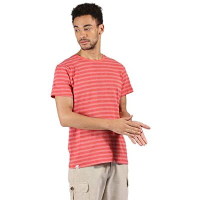 RMT205 QBK80 Regatta Męskie koszulki z krótkim rękawem Tariq w stylu casual bawełniane w paski/polo/kamizelki, przyprawy/biały, XL RMT205 QBK80 Regatta Męskie koszulki z krótkim rękawem Tariq w stylu casual bawełniane w paski/polo/kamizelki, przyprawy/biały, XL