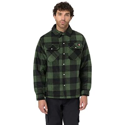 DK0A4XTAGR01 Dickies Męska koszulka Portland Outerwear, ZIELONY, L DK0A4XTAGR01 Dickies Męska koszulka Portland Outerwear, ZIELONY, L