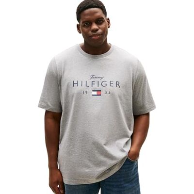 MW0MW43005 Tommy Hilfiger Męska koszulka BT-Brand Love Big Hilfiger TEE-B S/S, szara, XXL_Plus, Szary (średni szary wrzos), XXL MW0MW43005 Tommy Hilfiger Męska koszulka BT-Brand Love Big Hilfiger TEE-B S/S, szara, XXL_Plus, Szary (średni szary wrzos), XXL