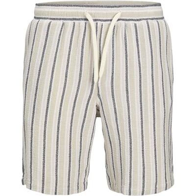 12274413-4717235 Jack & Jones Jpstjaiden Coba Stripe Jog Short Srt Sn, Celadon Tint, XS 12274413-4717235 Jack & Jones Jpstjaiden Coba Stripe Jog Short Srt Sn, Celadon Tint, XS