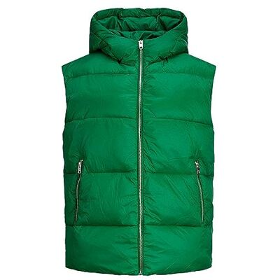 12238269 JJXX Damska kamizelka Jxbillie Puffer Vest OTW Sn, Formal Garden, XS 12238269 JJXX Damska kamizelka Jxbillie Puffer Vest OTW Sn, Formal Garden, XS