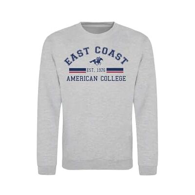 ACSCRW2 MELL GREY 16ANS AMERICAN COLLEGE USA Bluza Sweter z nadrukiem Ciepłe ubrania Unisex Dzieci Chłopcy i Dziewczęta Casual Model ACSCRW2 MELL Grey 16LT, Szary, 16 lat ACSCRW2 MELL GREY 16ANS AMERICAN COLLEGE USA Bluza Sweter z nadrukiem Ciepłe ubrania Unisex Dzieci Chłopcy i Dziewczęta Casual Model ACSCRW2 MELL Grey 16LT, Szary, 16 lat