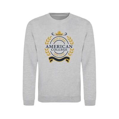 ACSCRW5 MELL GREY 8ANS AMERICAN COLLEGE USA Bluza Sweter z nadrukiem Ciepłe ubrania Unisex Dzieci Chłopcy i Dziewczęta Casual Model , Szary, 8 lat ACSCRW5 MELL GREY 8ANS AMERICAN COLLEGE USA Bluza Sweter z nadrukiem Ciepłe ubrania Unisex Dzieci Chłopcy i Dziewczęta Casual Model , Szary, 8 lat