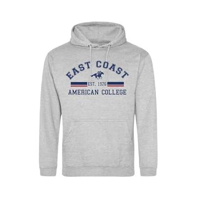 ACSCW2 MELL GREY 12ANS AMERICAN COLLEGE USA Bluza Sweter z nadrukiem Ciepłe ubrania Unisex Dzieci Chłopcy i Dziewczęta Casual Model ACSCW2 MELL Grey 12 LAT, Szary, 12 lat ACSCW2 MELL GREY 12ANS AMERICAN COLLEGE USA Bluza Sweter z nadrukiem Ciepłe ubrania Unisex Dzieci Chłopcy i Dziewczęta Casual Model ACSCW2 MELL Grey 12 LAT, Szary, 12 lat
