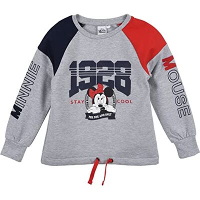 HU1019.LGREY.3Y SUN CITY LICENCE DISNEY sweter dziewczęcy, Szary, 3 lat HU1019.LGREY.3Y SUN CITY LICENCE DISNEY sweter dziewczęcy, Szary, 3 lat