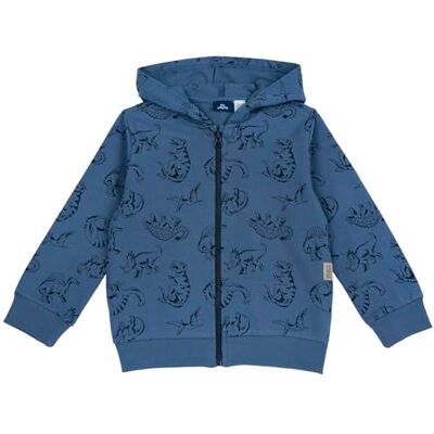 09100665000000 Chicco Bluza z kapturem i zamkiem błyskawicznym dla dzieci, Średni niebieski, 2 lat 09100665000000 Chicco Bluza z kapturem i zamkiem błyskawicznym dla dzieci, Średni niebieski, 2 lat