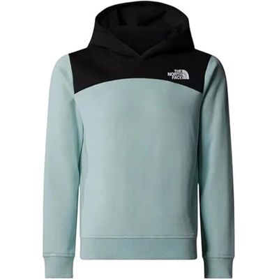 NF0A89HC The North Face Dziewczynki Back Logo Relaxed P/O Bluza z kapturem Muted Pine 164 NF0A89HC The North Face Dziewczynki Back Logo Relaxed P/O Bluza z kapturem Muted Pine 164