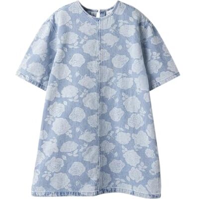 13249846-4880715 NAME IT Nkfsilla DNM SS Dress 2121-Za H, jasnoniebieski (light blue denim), 164 13249846-4880715 NAME IT Nkfsilla DNM SS Dress 2121-Za H, jasnoniebieski (light blue denim), 164
