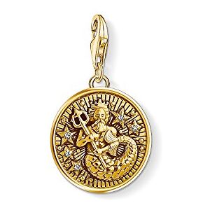 1650-414-39 Thomas Sabo Damski męski wisiorek charm znak zodiaku wodny Charm Club srebro wysokiej próby 925 pozłacany 1650-414-39 Thomas Sabo Damski męski wisiorek charm znak zodiaku wodny Charm Club srebro wysokiej próby 925 pozłacany
