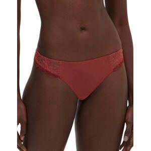1A2710 Simone Perele Women's SINGULIERE Tanga, Sienna 1A2710 Simone Perele Women's SINGULIERE Tanga, Sienna