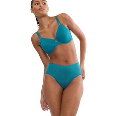 10215936 Triumph Women's Signature Sheer Maxi EX Briefs, Arizona Blue, 42 10215936 Triumph Women's Signature Sheer Maxi EX Briefs, Arizona Blue, 42