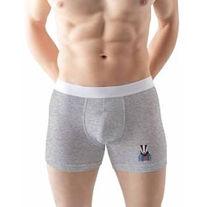 Green Fish Bokserki Briefs Mężczyźni, szary, XL Green Fish Bokserki Briefs Mężczyźni, szary, XL