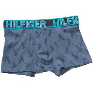 Tommy Hilfiger Męskie szorty chłopięce 1U87900618 / Deacon Denim, Turkusowy (ceramiczny), 50 Tommy Hilfiger Męskie szorty chłopięce 1U87900618 / Deacon Denim, Turkusowy (ceramiczny), 50