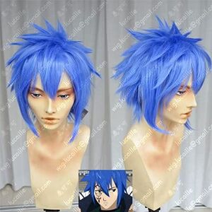 EQWR Wig for Anime Fairy Tail Jellal Fernandes Cosplay perika plava sintetička perika za kosu otporna na toplinu + kapa za periku KINA plava