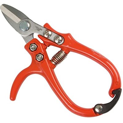Amig Szczypce do zbierania jednej ręki specjalne cytrusy proste ostrze ze stali 160 mm Aluminiowy ergonomiczny uchwyt Zakrzywiona końcówka do zbierania owoców bez uszkodzenia Amig Szczypce do zbierania jednej ręki specjalne cytrusy proste ostrze ze stali 160 mm Aluminiowy ergonomiczny uchwyt Zakrzywiona końcówka do zbierania owoców bez uszkodzenia