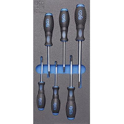 BGS 4078 Wkładka do szuflady 1/3: wkrętaki profil T (do Torx) 6 szt. BGS 4078 Wkładka do szuflady 1/3: wkrętaki profil T (do Torx) 6 szt.