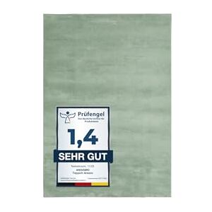 andiamo Dywan Arezzo do salonu, jadalni, łatwy w pielęgnacji, elegancki, przytulny dywan, jednokolorowy, 80 x 150 cm, szałwiowy andiamo Dywan Arezzo do salonu, jadalni, łatwy w pielęgnacji, elegancki, przytulny dywan, jednokolorowy, 80 x 150 cm, szałwiowy