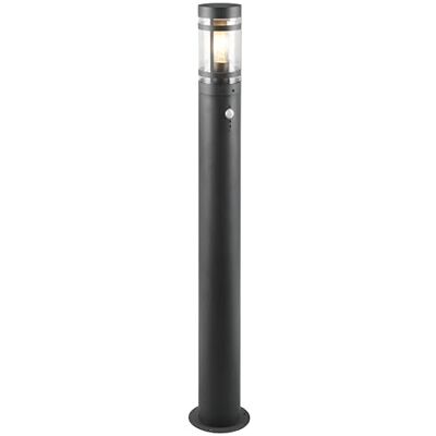 RL LIVE YOUR LIGHT Reality Leuchten Paloma R41719142, metal antracyt, klosz tworzywo sztuczne przezroczyste, bez 1 x E27, czujnik ruchu RL LIVE YOUR LIGHT Reality Leuchten Paloma R41719142, metal antracyt, klosz tworzywo sztuczne przezroczyste, bez 1 x E27, czujnik ruchu