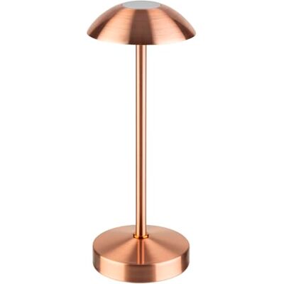 APS 17039 "ALVA bezprzewodowa lampa stołowa USB-C z możliwością regulacji temperatury barwowej i jasności, ochrona przed wodą rozbryzgową IP 54, w zestawie stacja dokująca i pilot zdalnego sterowania APS 17039 "ALVA bezprzewodowa lampa stołowa USB-C z możliwością regulacji temperatury barwowej i jasności, ochrona przed wodą rozbryzgową IP 54, w zestawie stacja dokująca i pilot zdalnego sterowania