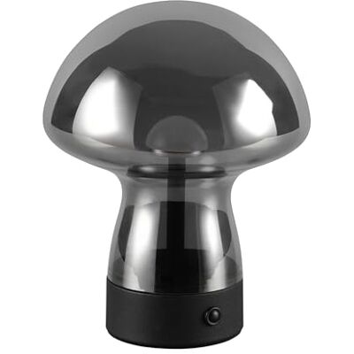 RL LIVE YOUR LIGHT Reality Leuchten Dooley R54981154 lampa stołowa LED z akumulatorem R54981154, metal czarny matowy, szkło w kolorze dymu, w zestawie 1,5 W LED, 4-krotne dotknięcie RL LIVE YOUR LIGHT Reality Leuchten Dooley R54981154 lampa stołowa LED z akumulatorem R54981154, metal czarny matowy, szkło w kolorze dymu, w zestawie 1,5 W LED, 4-krotne dotknięcie