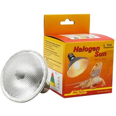 Lucky Reptile Halogen Sun dwupak Promiennik ciepła 75W do oprawek E27 Reflektor halogenowy dla gadów Ściemnialna lampa do terrarium ze światłem dziennym Wyposażenie terrarium Lucky Reptile Halogen Sun dwupak Promiennik ciepła 75W do oprawek E27 Reflektor halogenowy dla gadów Ściemnialna lampa do terrarium ze światłem dziennym Wyposażenie terrarium