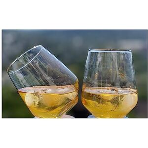 Topkapi Szklanka do whisky McDalford, przezroczysta, z efektem bączka, do whisky, koktajli, soków, wody, napojów, wys~ 10,6 cm, V ~ 420 ml, 2 sztuki Topkapi Szklanka do whisky McDalford, przezroczysta, z efektem bączka, do whisky, koktajli, soków, wody, napojów, wys~ 10,6 cm, V ~ 420 ml, 2 sztuki