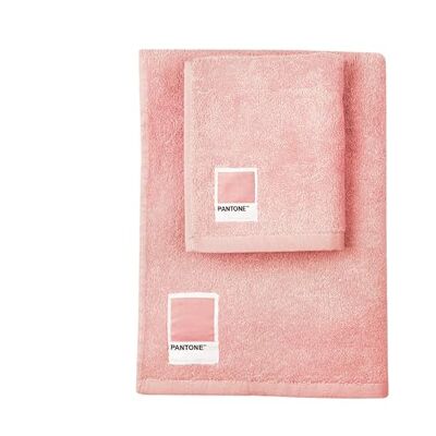osama home PANTONE™ ręczniki kąpielowe do twarzy i bidetu, 100% czysta bawełna, z certyfikatem OEKO-TEX, zestaw ręczników łazienkowych do twarzy i gości 50 x 100 i 40 x 50 cm, miękkie, chłonne, nadają się osama home PANTONE™ ręczniki kąpielowe do twarzy i bidetu, 100% czysta bawełna, z certyfikatem OEKO-TEX, zestaw ręczników łazienkowych do twarzy i gości 50 x 100 i 40 x 50 cm, miękkie, chłonne, nadają się