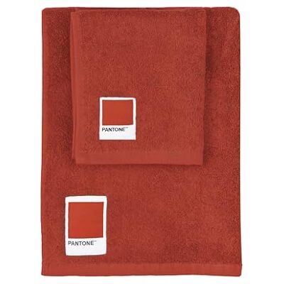 osama home PANTONE™ ręczniki kąpielowe do twarzy i bidetu, 100% czysta bawełna, z certyfikatem OEKO-TEX, zestaw ręczników łazienkowych do twarzy i gości 50 x 100 i 40 x 50 cm, miękkie, chłonne, nadają się osama home PANTONE™ ręczniki kąpielowe do twarzy i bidetu, 100% czysta bawełna, z certyfikatem OEKO-TEX, zestaw ręczników łazienkowych do twarzy i gości 50 x 100 i 40 x 50 cm, miękkie, chłonne, nadają się