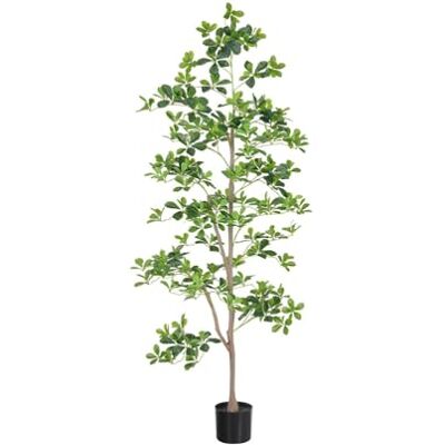 Zstar Sztuczne drzewo Schefflera, 180 cm, duże, sztuczne drzewo z tofpem do dekoracji wnętrz, duże, sztuczne rośliny, drzewo Schefflera z naturalnym pniem, realistycznymi liśćmi, do domu, biura, na Zstar Sztuczne drzewo Schefflera, 180 cm, duże, sztuczne drzewo z tofpem do dekoracji wnętrz, duże, sztuczne rośliny, drzewo Schefflera z naturalnym pniem, realistycznymi liśćmi, do domu, biura, na