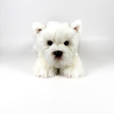 DQB DeQUBE FUNDACJA BOCALAN Pluszowa zabawka Terrier Biały Leżący 25 cm + 0 miesięcy (DeQube 939D00291) DQB DeQUBE FUNDACJA BOCALAN Pluszowa zabawka Terrier Biały Leżący 25 cm + 0 miesięcy (DeQube 939D00291)