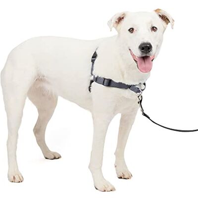 PetSafe Easy Walk Luksusowe Szelki Przeciwtrąceniowe dla Psa Idealne do szkolenia smyczy i uprzęży Zapobiega ciągnięciu i duszenia się podczas spacerów Rozmiar M/L, stal PetSafe Easy Walk Luksusowe Szelki Przeciwtrąceniowe dla Psa Idealne do szkolenia smyczy i uprzęży Zapobiega ciągnięciu i duszenia się podczas spacerów Rozmiar M/L, stal