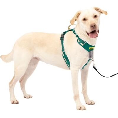 PetSafe Easy Walk Comfort No-Pull Uprząż dla psa na całe ciało lepsze spacery przy pierwszym użyciu 5 punktów regulacji, duża, zielona PetSafe Easy Walk Comfort No-Pull Uprząż dla psa na całe ciało lepsze spacery przy pierwszym użyciu 5 punktów regulacji, duża, zielona
