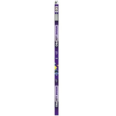ICA mxp25 świetlówka T8 AQUA LUX Pro ICA mxp25 świetlówka T8 AQUA LUX Pro